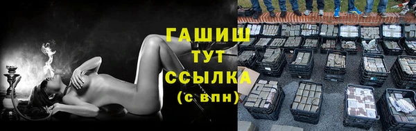 меф Ельня
