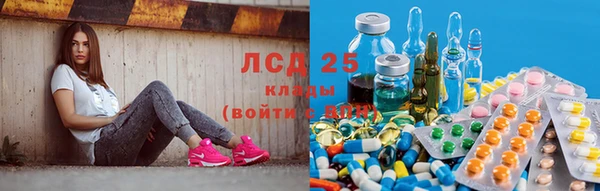 скорость Алзамай
