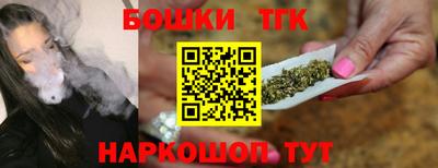 соль ск Славгород
