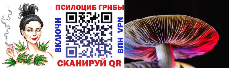 Псилоцибиновые грибы Psilocybine cubensis  площадка телеграм  Салават 