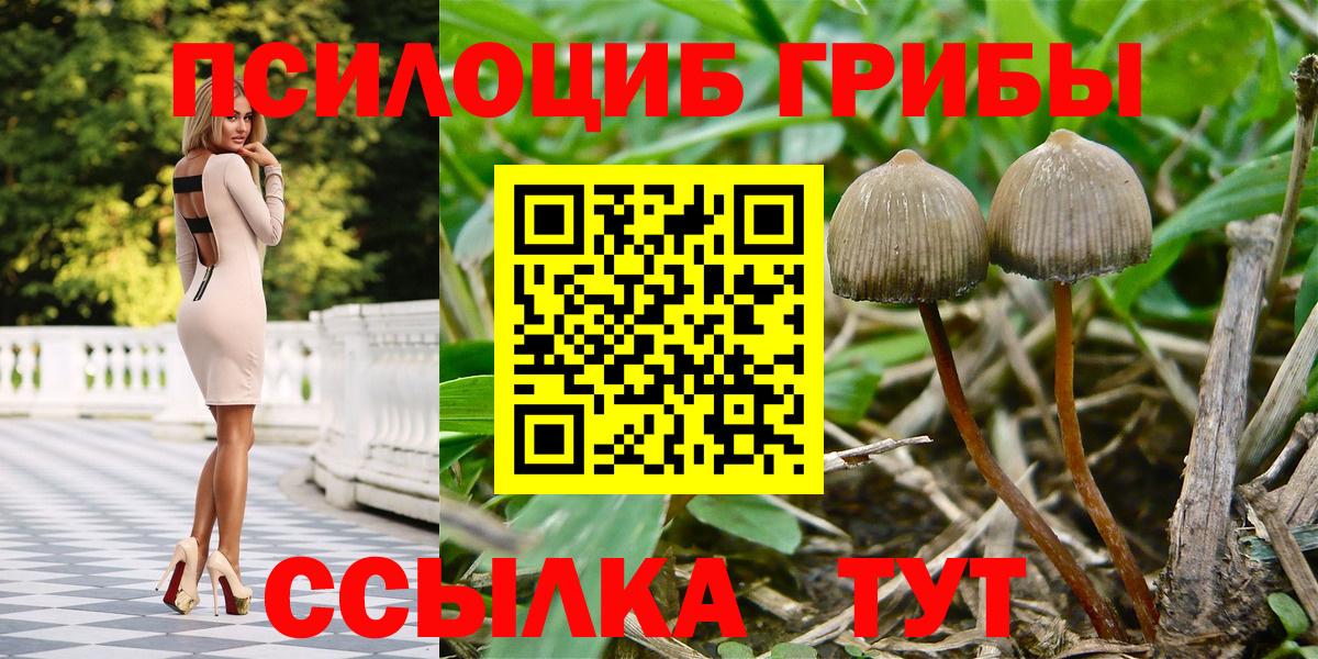 Псилоцибиновые грибы Cubensis  цены наркотик  Салават  Вход с VPN  Псилоцибиновые грибы GOLDEN TEACHER 